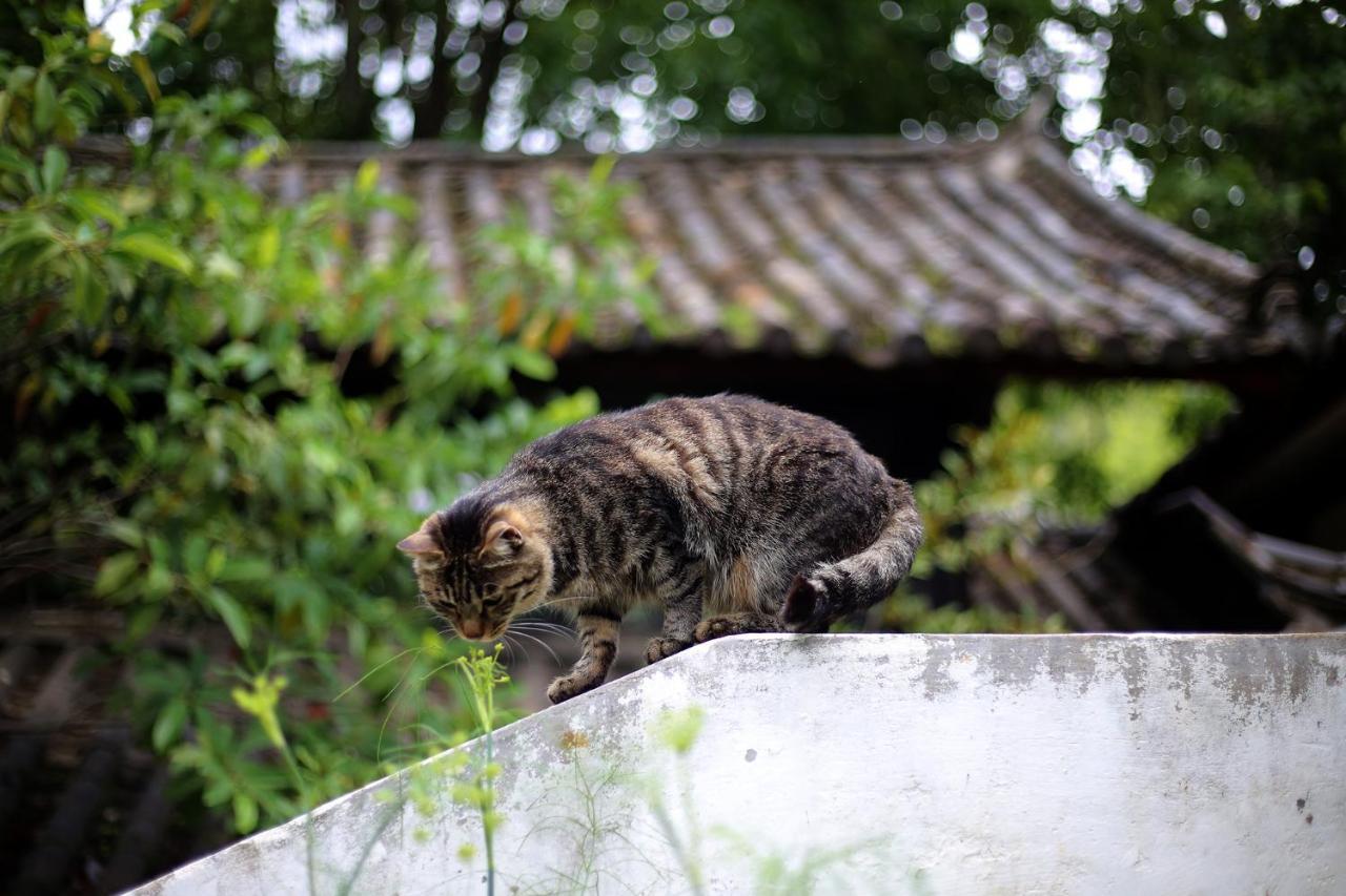The Bivou Lijiang Lijiang (Yunnan) Exterior foto